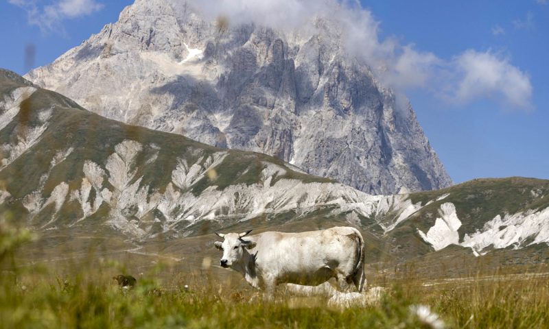 Discesa sul canalone del Gran Sasso: il video dello scandalo