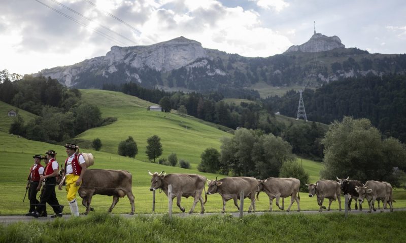 Tutto sulla Festa della transumanza e degli orti di montagna